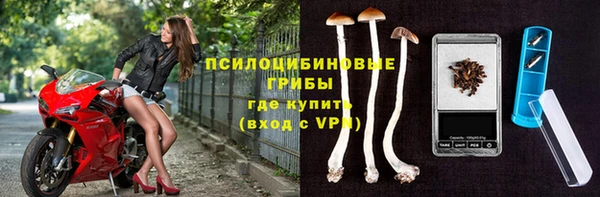 сатива Алзамай